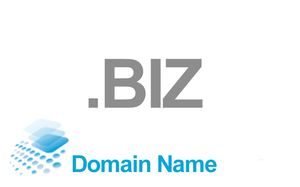 Domain name registration / renewal of .biz / year domain από την Hosting Store